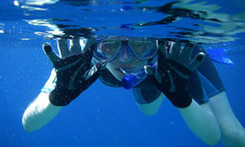 Snorkel-Dive-Tours-attraction